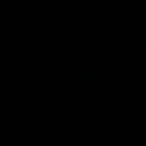 Meet your Posher, Bryant